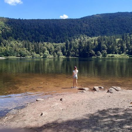 Apartament L'Ecrin Des Vosges Gérardmer Zewnętrze zdjęcie